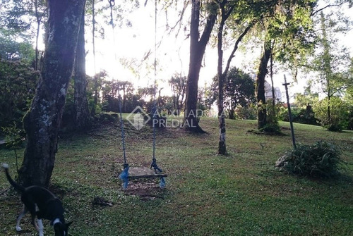 Imagem 5 de 9 de Terreno - Centro - Ref: 292376 - V-292376