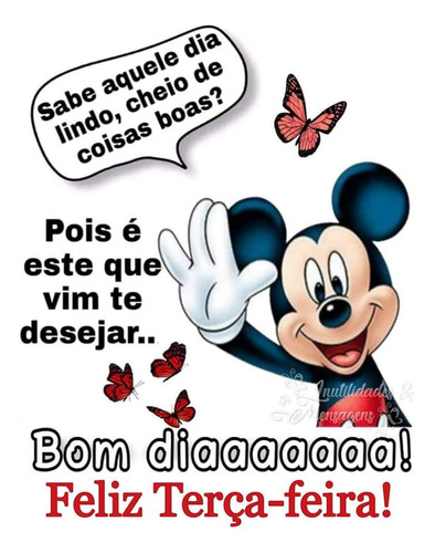 Imóvel Comercial E Residencial