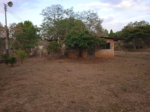 Terreno En Tocuyito, Libertador