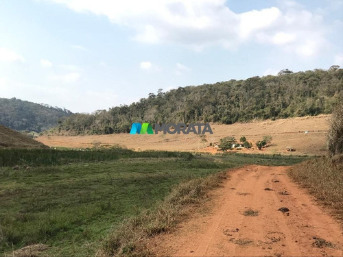 Imagem 10 de 15 de Fazenda - Zona Rural - Ref: 5241 - V-mta5241