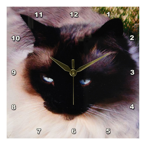 3drose Llc Dpp__1 - Reloj De Pared Con Gato Siamés (10.0 X.