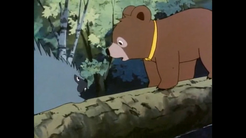 El Bosque De Tallac Serie Anime Jackie Y Nuca