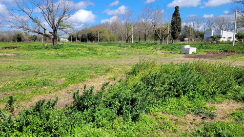 Terreno - Navarro - Oportunidad En El Interior De La Provincia De Buenos Aires 