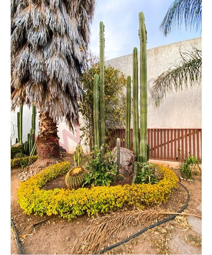 ¡encantadora Casa En Venta Con Amplio Jardín Y Excelente Vista Al Lago En Lomas De Gran Ja...