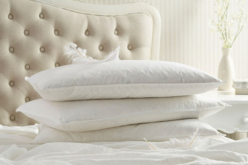 Imagen 2 de 5 de Almohada De Pluma De Ganso Premium 50x70 Ducarsil