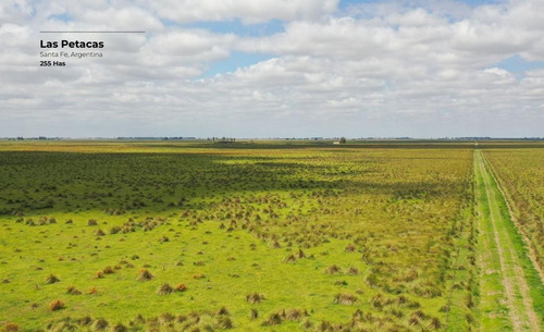 Campo De 255 Hectáreas En Las Petacas, Santa Fe