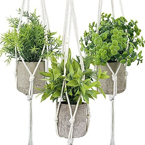 Paquete De 3 Mini Plantas Artificiales En Macetas Con 3...