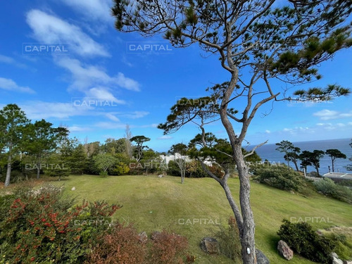 Imagen 6 de 6 de Terreno De 1003m2 En Venta En Punta Ballena. - Punta Ballena Lomo De La Ballena