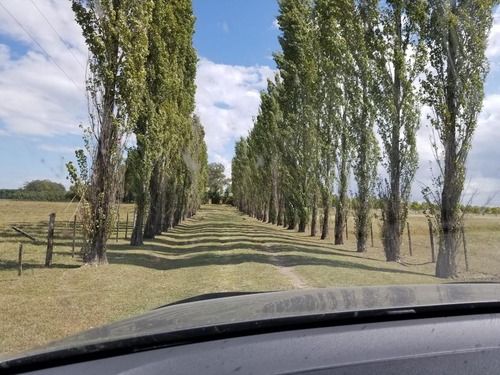 Imagen 8 de 27 de Campo - Uruguay