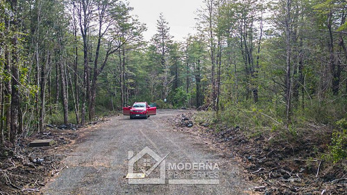Parcela 5000 M2 En Bosque Pucón Con Bosque Nativo