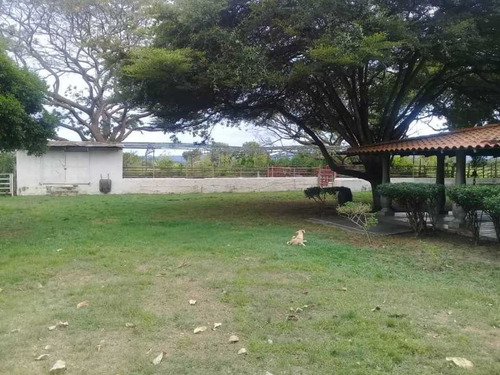 Imagen 5 de 12 de En Venta Finca De 7,5ha