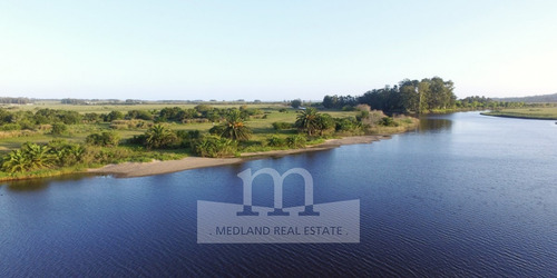 Venta Campo - Lugar Soñado Con Playa Y Palmeras- Ref: 240