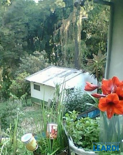 Imagem 3 de 3 de Terreno - Vila Guilherme - Sp - 439966