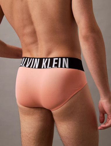 Calzoncillos Trusas Calvin Klein Intense Power - Original