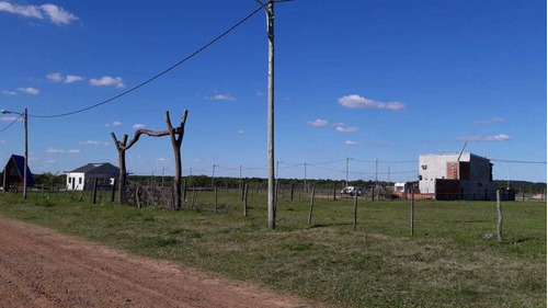 Imagen 4 de 8 de Lotes De 10x30mts En Puerto Ceibo Monte Caseros Ctes