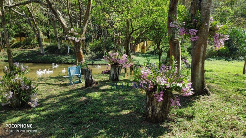 Imagem 10 de 30 de Chácara Residencial À Venda, Vicente Nunes, Nazaré Paulista. - Ch0066