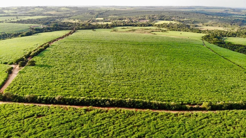 Excelente Fazenda Para Venda Em Itapetininga-sp, Com 244 Alqueires, Formada Em Cana, Frente Para Rodovia Castelo Branco, Rica Em Agua, Rio Nos Fundos - Fa00084 - 69245340