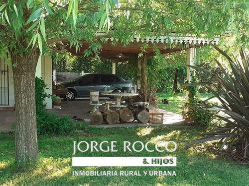 Imagen 5 de 30 de Casa Quinta En Barrio Parque Mendizabal