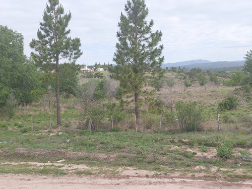 Imagen 3 de 6 de Lote Fracción De 10 Ha Sobre Ruta 28, Tanti, Ideal Emprend