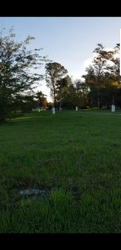 Imagen 3 de 5 de Terreno En Venta En San Vicente