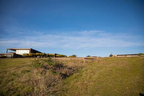 Vista Horizonte Punta De Lobos