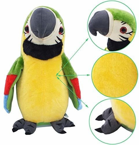 Loro Que Habla De Hengle, Loros Que Repiten, Loros Que Habla