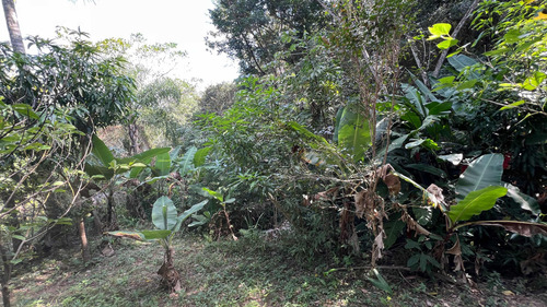 Sítio Em Piedade Ao Lado De Sorocaba