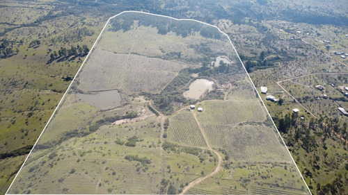 Se Vende Campo En Litueche Con 5 Tranques Y 2 Vertientes
