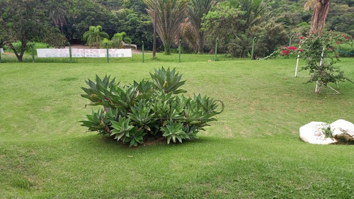 Imagem 15 de 30 de Chácara À Venda Em Pinheirinho - Ch002097
