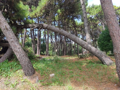 Imagen 5 de 6 de Lote Con Muy Buena Ubicación, Apto Para 2 Unidades Amplias, En Mar Azul.