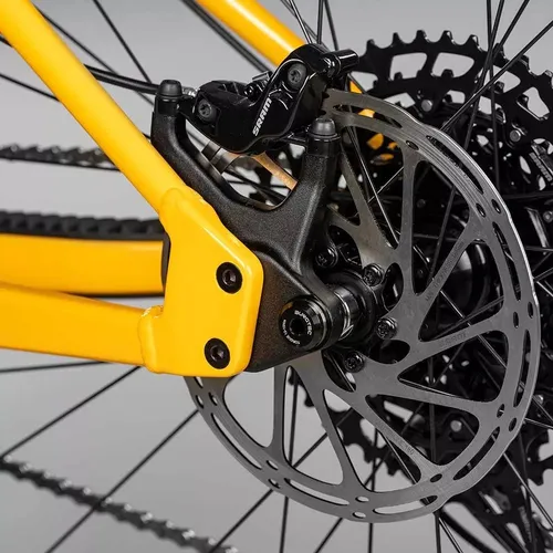 Santa cruz online chameleon cuadro
