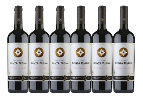 6x Vino Miguel Torres Gran Reserva Santa Digna Cabernet