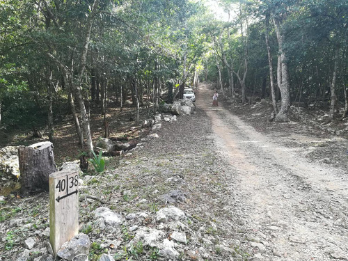 Lote Ecològico En Venta A 8 Minutos De La Estación Del Tren Maya Coba-tulum (1288)