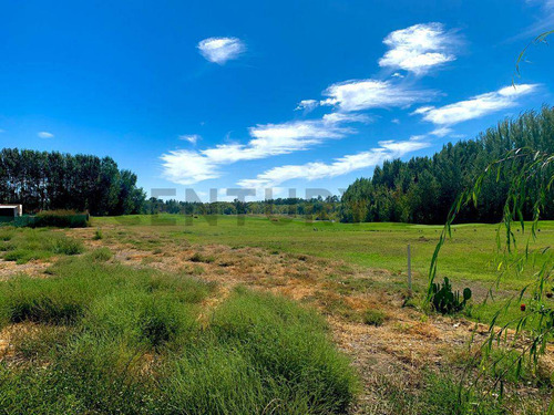 Lote Canales De Plottier