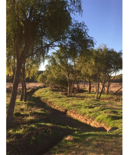 Excelente!! Parcelas De 5.000 M2 Con Rol Propio En "lom