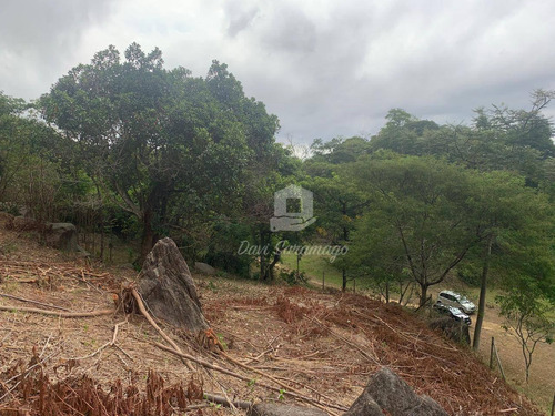 Imagem 3 de 7 de Sitio De 18 Hectares No Engenho Do Mato. Raridade! - Si0001
