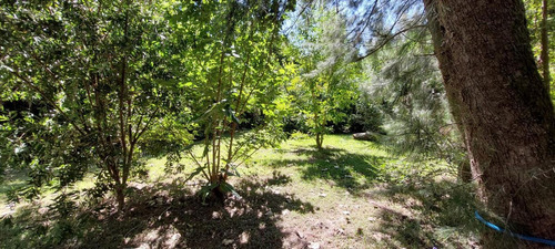 Imagen 9 de 17 de Terreno - Carapachay