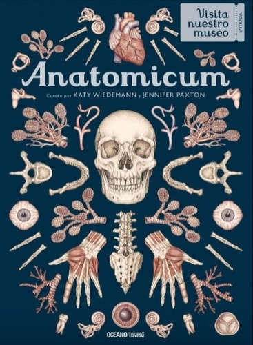 Anatomicum - Visita Y Explora Cada Rincon Del Cuerpo Humano