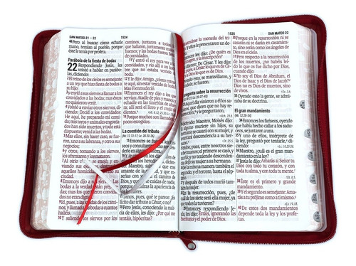 Imagen 3 de 4 de Biblia Reina Valera 1960 Letra Grande Cierre Indice Rojo