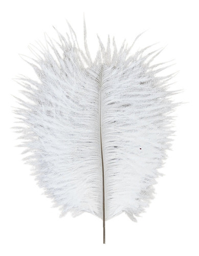 Pluma De Avestruz Confete 5 A 12 Cm Carnaval Artesanato 005 Cor Branco