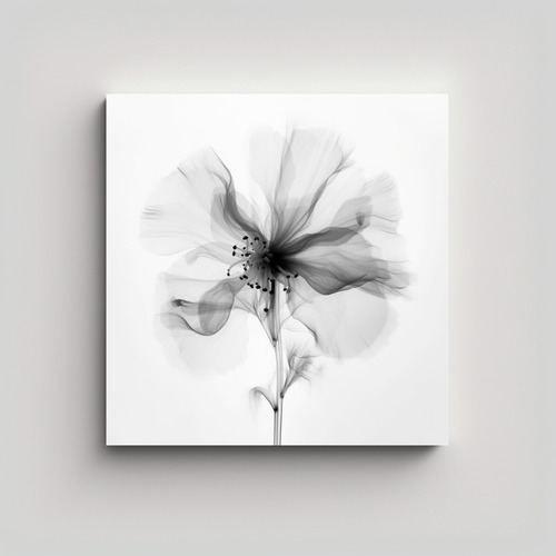 Cuadro De Flores En Rayos-x En Blanco Y Negro Para Baño 30x