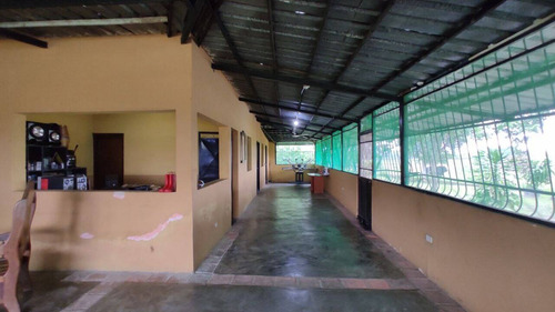Imagen 13 de 14 de Venta Finca, Guigue Planta Cod. 155496