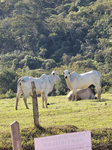 Imagem 11 de 14 de 01- Terrenos Documentados Na Frente Da Represa Em Igaratá !