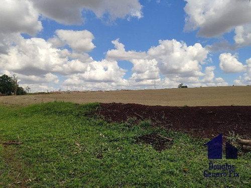 Imagem 14 de 16 de Rural Chacara - 775286-v
