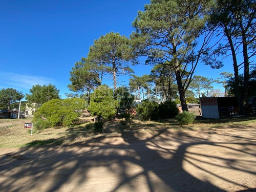 Imagen 6 de 16 de Hermoso Terreno, Zona Golf. Villa Gesell