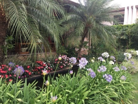Imagem 7 de 30 de Casa Em Estilo Toscano - Jardim Paradiso - Indaiatuba - Ca01235 - 32805744