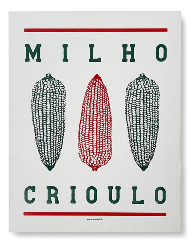 Milho Criolo