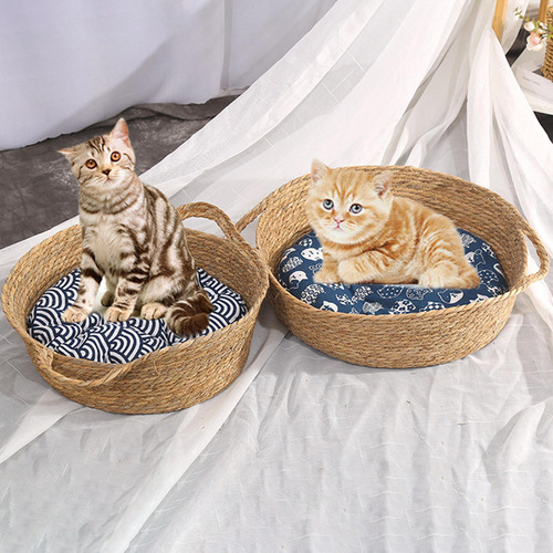Pequeño Perro Gato Casa Diámetro 40 Cm Altura 14 Cm