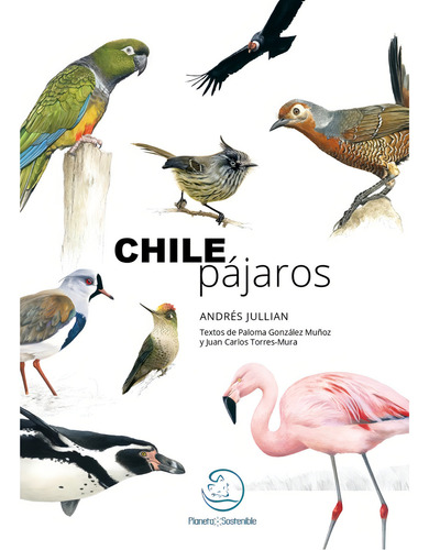 Chile Pájaros de Paloma González Muñoz Y Juan Carlos Torres-mura Ilustraciones de Andrés Jullian Fuentes Editorial Planeta Sostenible