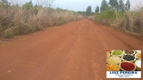 Imagem 2 de 15 de Fazenda Á Venda Em São Valerio - To - De 225 Alqueirões - 1586